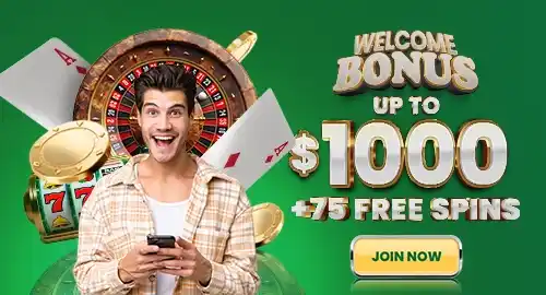 Welcome offer promotion for new players at Reels of Joy casino
